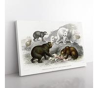Polar, Grizzly, Brown & Black Bears By Oliver Goldsmith Vintage Canvas Wall Art Print Ready to Hang, Framed Picture for Living Room Bedroom Home Office Décor, 60x40 cm (24x16 Inch)