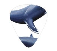 Polar ice whale Printed pick set - 12 pieces, thin, medium and thick guitar picks, suitable for guitar, bass, electric guitar and ukulele
