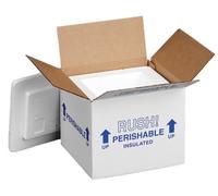 Polar Tech 205C Thermo Chill Insulated Carton with Foam Shipper, Small, 6" Length x 5" Width x 6-1/2" Depth (Case of 2)