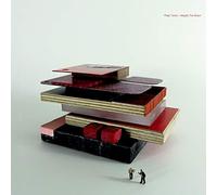 Polar Twins - Maybe the Moon [VINYL]