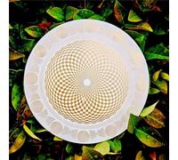 Polarizing Disk with Harmonic Balancing & Water Energization for Meditation,Demagnetization Meditation for Clearing The Mind, Home Decor and Crystal Care for Water Energization Meditation(White)