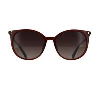 Polaroid Cat Eye Brown Brown Gradient Polarized Pld 4208/sx Brown