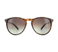 Polaroid Pld 6003/n/s V08/LA HAVANA Sunglasses Unisex Polycarbonate, Standard, 19
