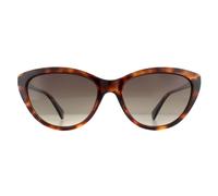 Polaroid Cat Eye Womens Havana Brown Gradient Polarized Sunglasses - One Size