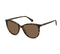 POLAROID GAFAS Modelo: PLD 4138/S C: HAVANA Eye size: 55_Bridge size: 18 / Polarized: Sí