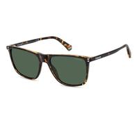 POLAROID GAFAS Modelo: PLD 6232/S_ C: HAVANA/Eye size: 55 - Bridge size: 17