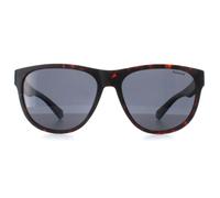 Polaroid Men's Round Matte Havana Blue Grey Polarized PLD 2156/S in Brown Polaroid Brown One Size