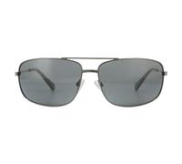 Polaroid PLD 2101/S Mens Dark Ruthenium Sunglasses