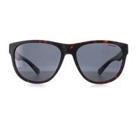 Polaroid PLD 2156/S Unisex Matte Havana Blue Sunglasses