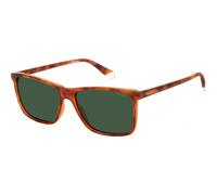 POLAROID PLD 4137/S Havana and red men's sunglasses