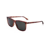 POLAROID PLD 4137/S Havana and red men's sunglasses