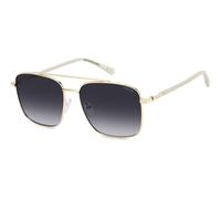 Polaroid PLD 4192/G/S/X Gold grey 59/16/145 MAN Sunglasses