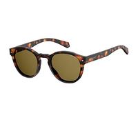Polaroid Sunglasses 6042/S 086 SP Dark Havana Bronze Polarized