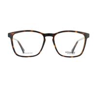 Polaroid PLD D373 Unisex Erwachsene Dark Havana Glasses
