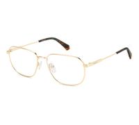 Polaroid PLD D538 J5G Optical frames