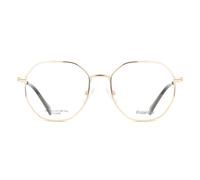 Eyeglasses Polaroid PLD D555 RHL 18 52 145 Größe: 52