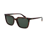 Polaroid Sunglasses PLD 4163/S – Havana Polycarbonate, Green Polarized – 086/UC