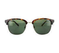 Polaroid PLD1012/S PR6H8 Tortoise PLD1012/S Retro Sunglasses Polarised Lens Category 3 Size 53mm