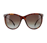 Polaroid Sunglasses PLD 4066/S 086 LA Dark Havana Brown Polarized