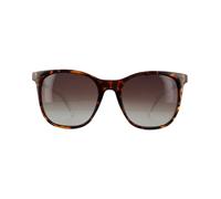 Polaroid Sunglasses PLD 4059/S 086 LA Dark Havana Brown Polarized