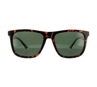 Polaroid Square Havana Green Polarized Sunglasses In Brown Brown One Size