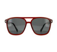 Polaroid Aviator Mens Brown Grey Polarized - One Size