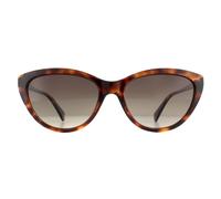Polaroid Sunglasses PLD 4080/S 086 LA Havana Brown Gradient Polarized