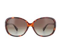 Polaroid Sunglasses PLD 4098/S 086 LA Dark Havana Brown Gradient Polarised