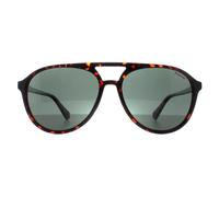 Polaroid Sunglasses PLD 4162/S 086 UC Havana Green Polarized