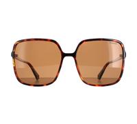 Polaroid Sunglasses PLD 6128/S 9N4 SP Havana Brown Polarized