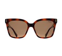 Polaroid Women's Cat Eye Havana Bronze Polarized PLD 6192/S in Brown