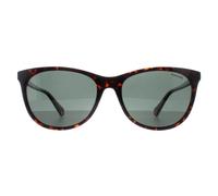 Polaroid Women's Cat Eye Havana Green Polarized PLD 4161/S in Brown