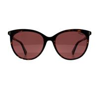 Polaroid Women's Cat Eye Havana Violet Polarized PLD 6231/S in Brown