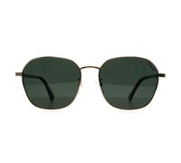 Polaroid Women's Round Gold Green Green Polarized PLD 4168/G/S/X