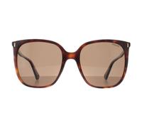 Polaroid Women's Square Havana Bronze Polarized PLD 6218/S in Brown