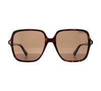 Polaroid Women's Square Havana Bronze Polarized PLD 6219/S in Brown