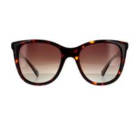 Polaroid Women's Square Havana Brown Brown Gradient Polarized