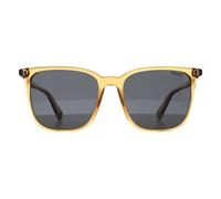 Polaroid Square Transparent Beige Grey Polarized Pld 6226/s Beige