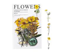 Pold Flower Ratings - Waterproof Natural Decorative Stickers, Craft Floral Stickers | Botanical Stickers for Creative Albums, Artistic Scrapbooking, Journals pers