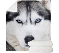 POLERO White Husky Print Fleece Blanket,Funny Designs All-Season Throw Flannel Blanket,Kids Children Adults Warm Plush Blanket (43" x 55")
