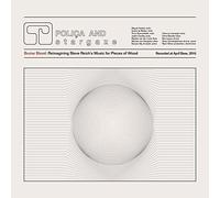 Bruise Blood: Reimagining Steve Reich's Music for Pieces of Wood [VINYL]