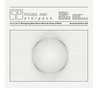 Bruise Blood: Reimagining Steve Reich's Music For Pieces Of Wood [VINYL]