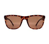 Police Men's Rectangle Matte Dark Havana Brown SPL357 Blackbird Light 2 Sunglasses Police Brown One Size
