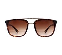Police Men's Square Havana & Gold Brown Gradient SPLB41 Origins 35 Sunglasses Police Brown One Size