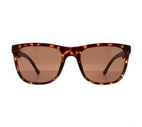 Police SPL357 Blackbird Light 2 Mens Matte Dark Havana Sunglasses