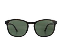 Police SPL997 Origins Lite 3 Sunglasses Shiny Havana / Green