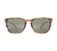 Square Shiny Striped Brown Green SPLD47 Code 4 Sunglasses Police Brown One Size