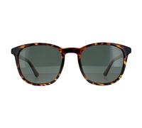 Police SPLF18E Mens Shiny Dark Havana Sunglasses