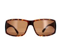 Police Sunglasses SPLB46 Origins 40 0738 Havana Brown