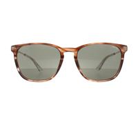 Police SPLD47 Code 4 Sunglasses Shiny Striped Brown / Green